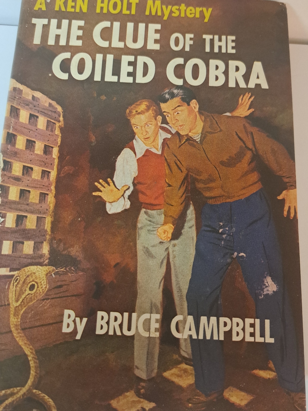 The Clue of the Coiled Cobra by Bruce Campbell - Illustrated. Vintage Hardback